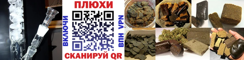 ГАШ Premium  Купить  Онега 