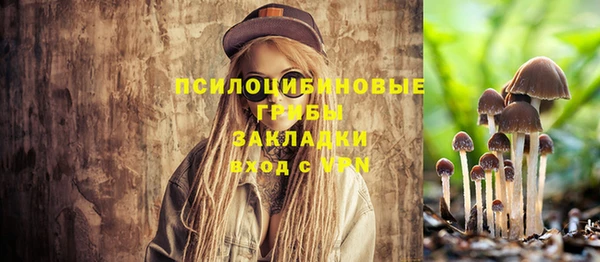 ECSTASY Зерноград