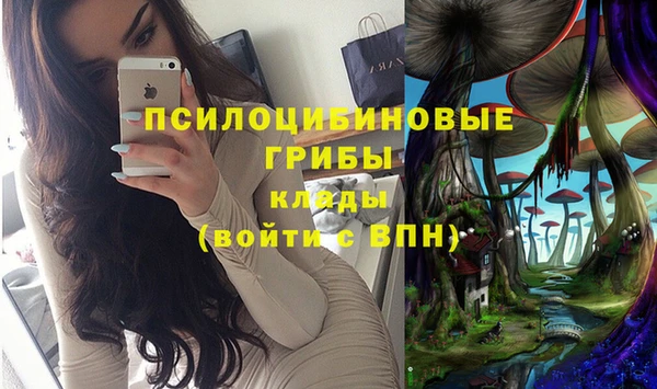 дурь Заволжье