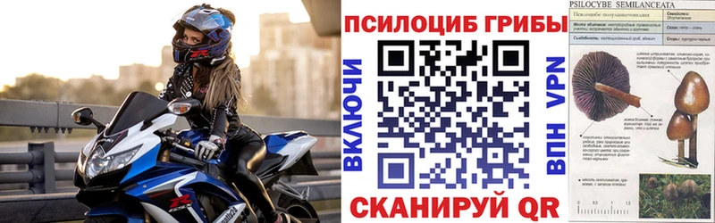 Псилоцибиновые грибы MAGIC MUSHROOMS  Купить где  Онега 